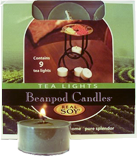 攻击网站服务器